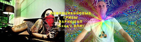 соль ск Алексеевка
