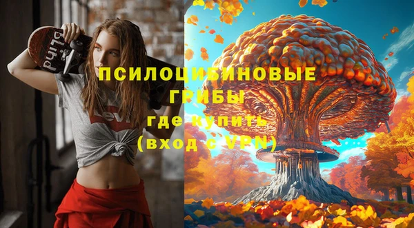 соль ск Алексеевка