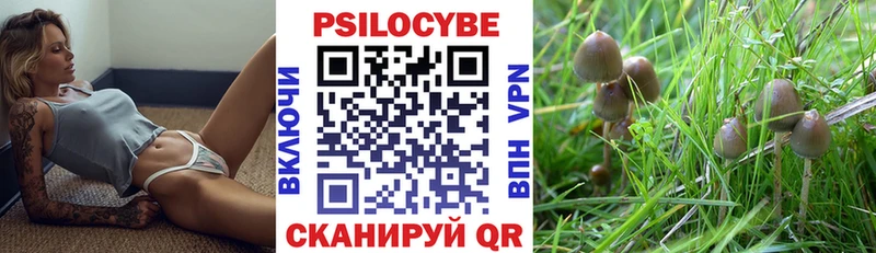 мега вход  Арамиль  Галлюциногенные грибы GOLDEN TEACHER 